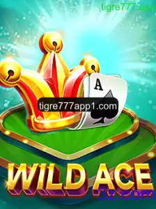Explorando o Mundo de WildAce: Um Guia Completo
